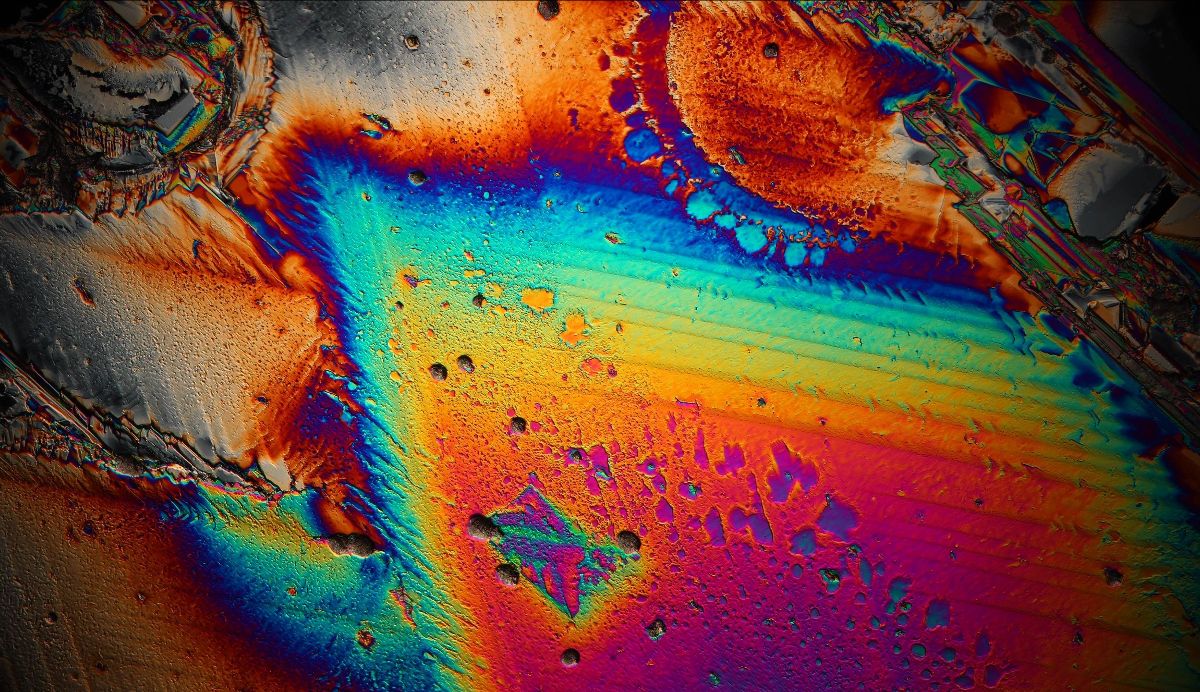 MikroMINT Ausstellung 2026 Till Richter Museum